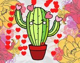 Cactus corazón