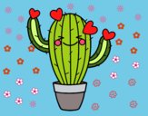 Cactus corazón