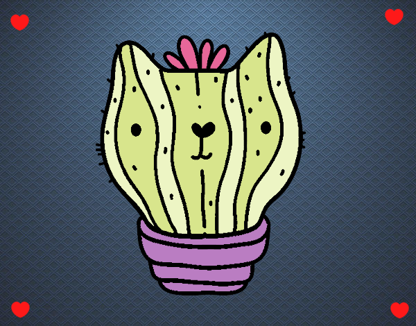 Cactus gato