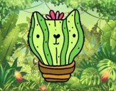 Cactus gato