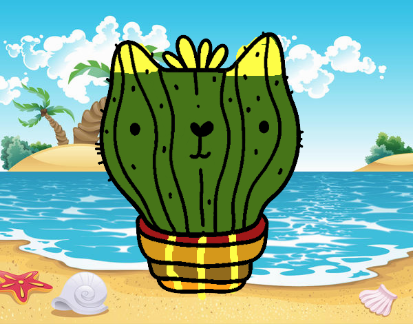 Cactus gato