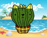 Cactus gato