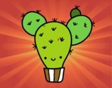 Cactus nopal