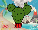 Cactus nopal