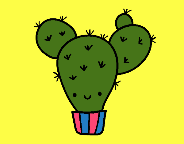 NOPAL