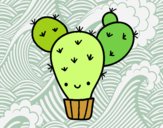 Cactus nopal