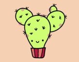 Cactus nopal