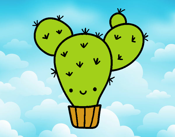 Cactus nopal