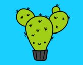 Cactus nopal