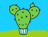 Cactus nopal