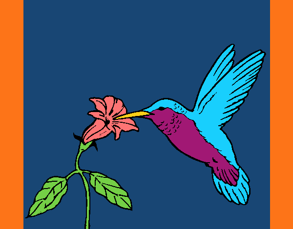 Colibrí y una flor