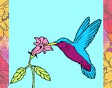 Colibrí y una flor