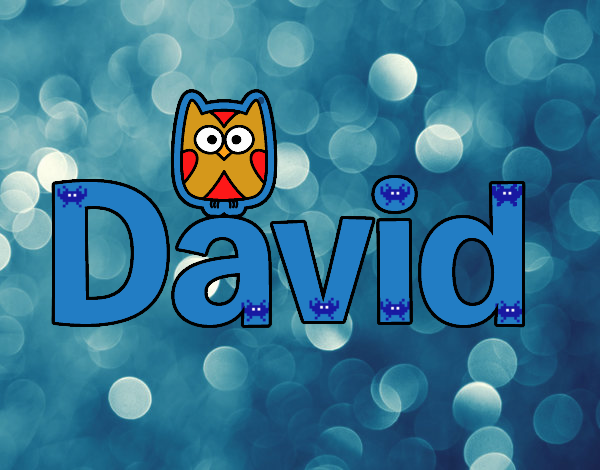 david