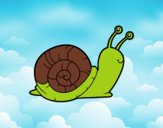 El caracol