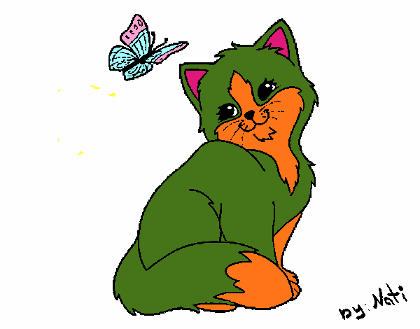 Gatito y mariposa