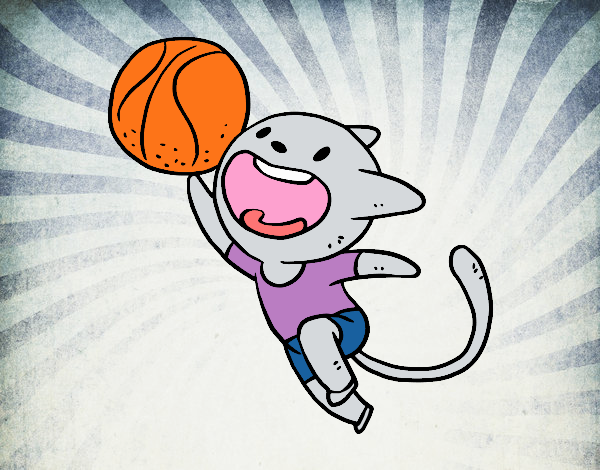 Gato jugando a baloncesto