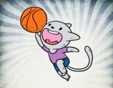 Gato jugando a baloncesto