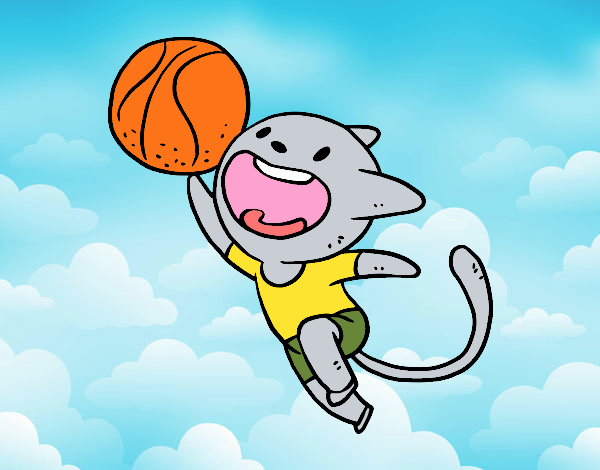 Gato jugando a baloncesto