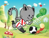 Gato jugando a fútbol