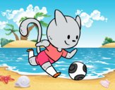 Gato jugando a fútbol