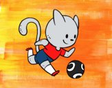 Gato jugando a fútbol