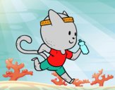 Gato runner