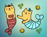 Gatos sirena