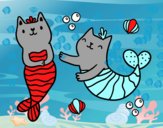 Gatos sirena