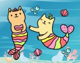 Gatos sirena