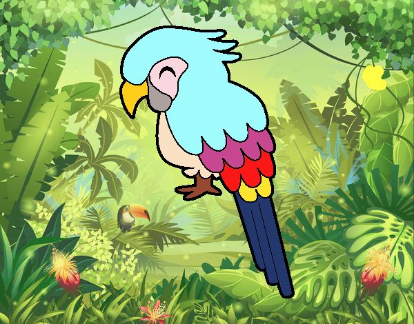 Guacamayo