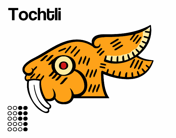 Los días aztecas: el conejo Tochtli