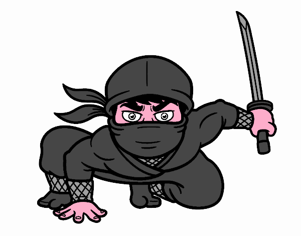 ninja sigiloso