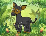 Okapi