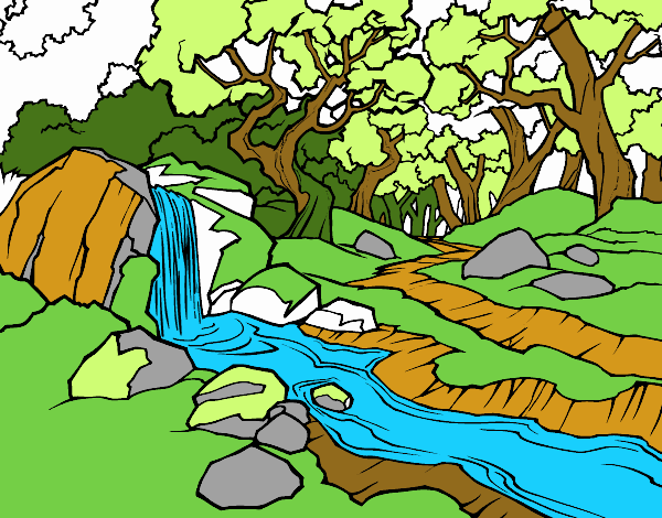 Paisaje de bosque con un río