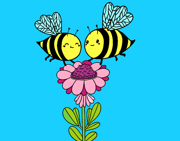 pareja de abejas 