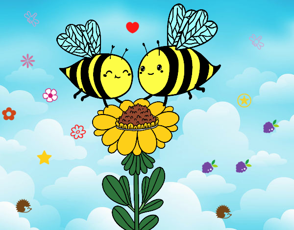 Pareja de abejas