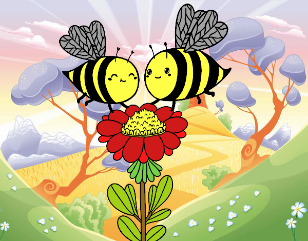 Pareja de abejas