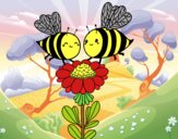 Pareja de abejas