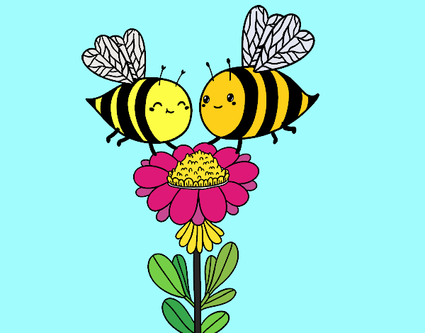 Pareja de abejas