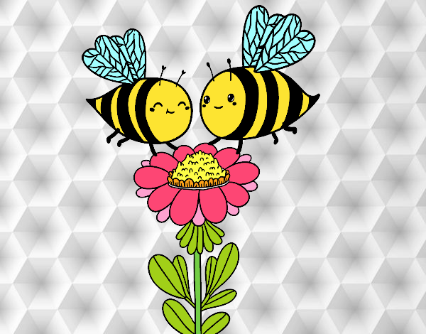 Pareja de abejas