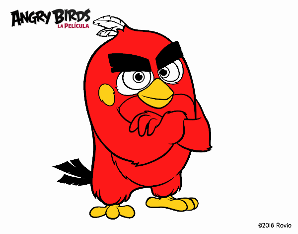 Red de Angry Birds