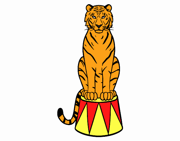 Tigre de circo