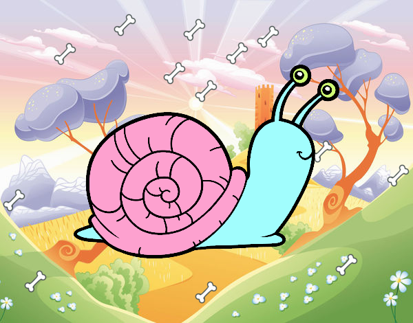 Caracol Feliz