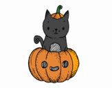 Un gatito de Halloween