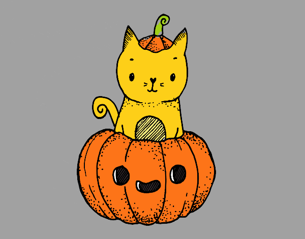 gato de hallowen