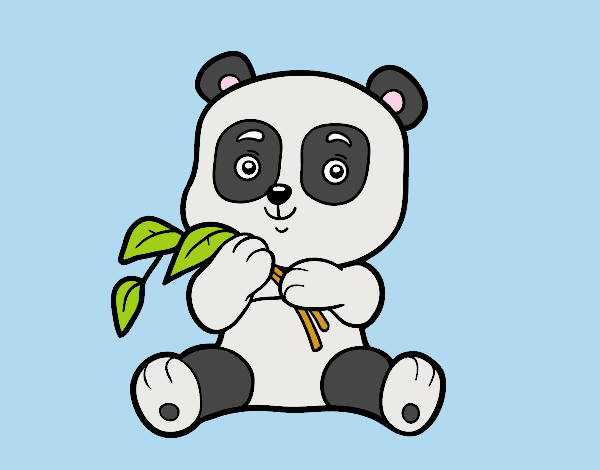 Un oso panda