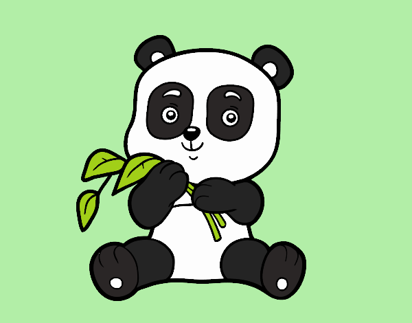 Un oso panda