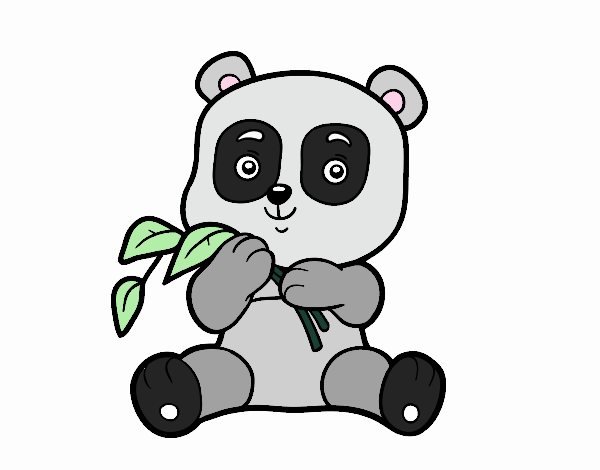 Un oso panda