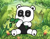 Un oso panda