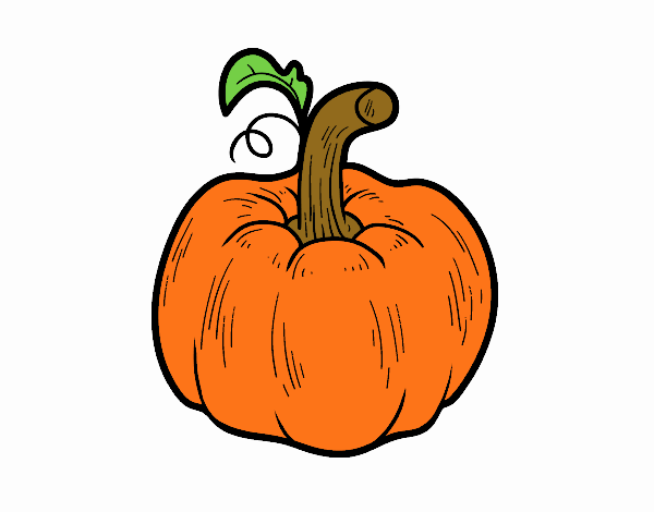 Una calabaza cucurbita